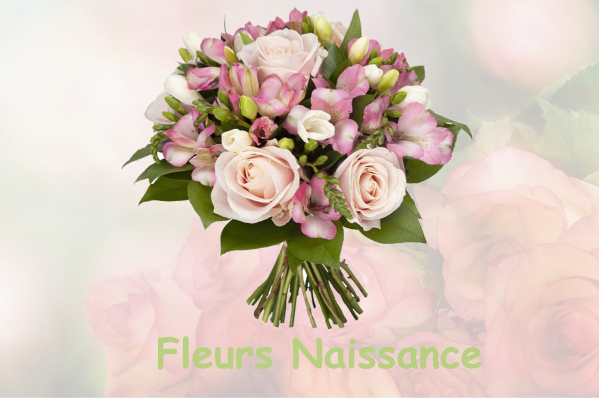 fleurs naissance PEYSSIES