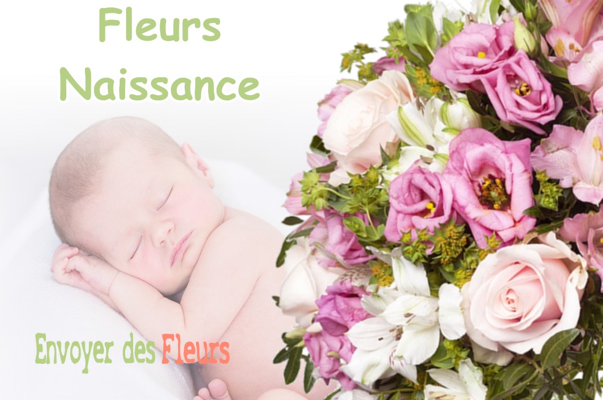 lIVRAISON FLEURS NAISSANCE à PEYSSIES